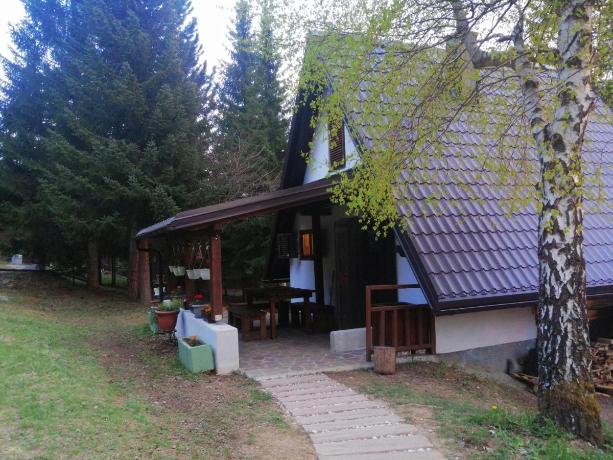 House Nature Vakantiehuis