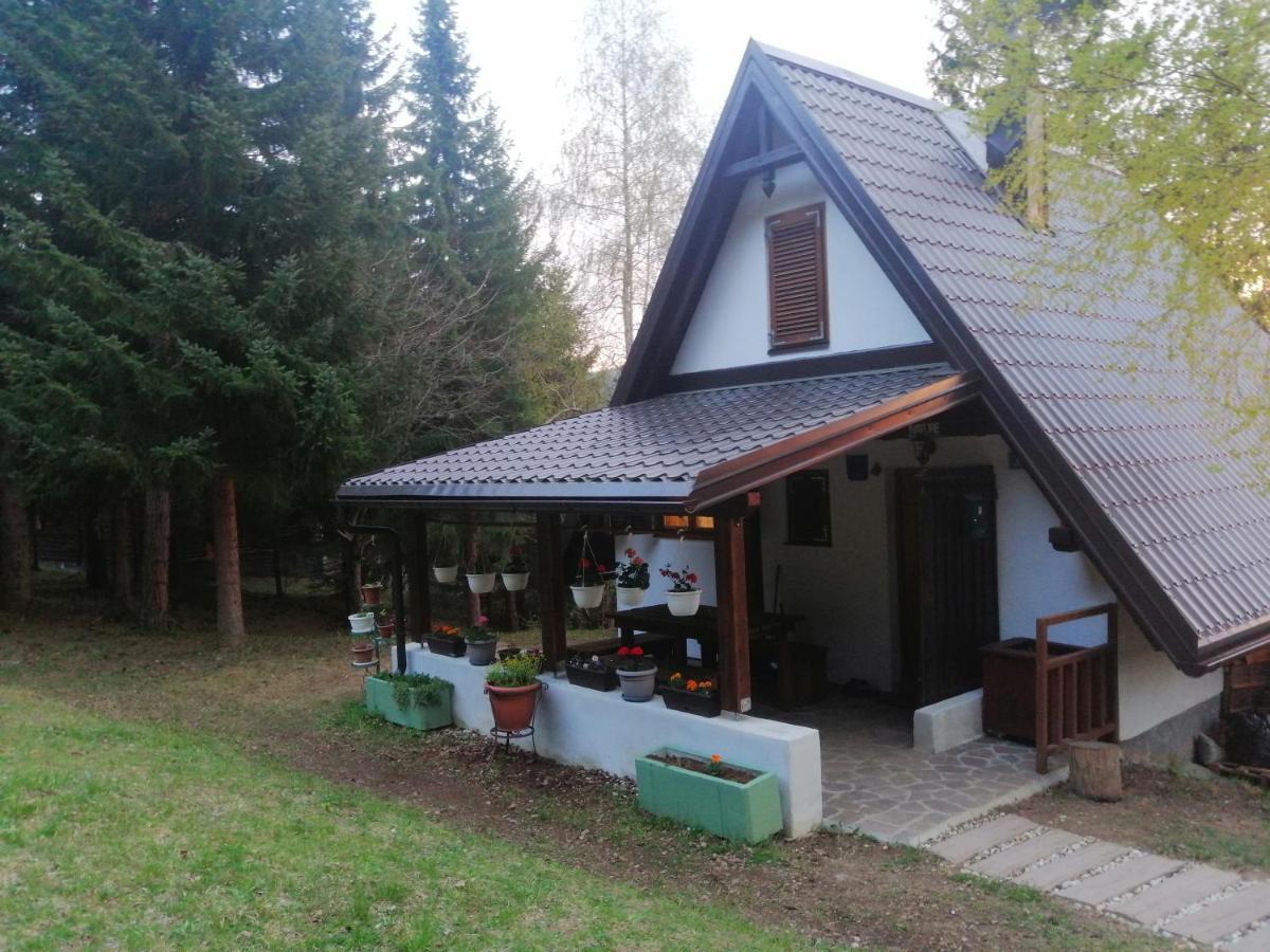 Vakantiehuis House Nature *
