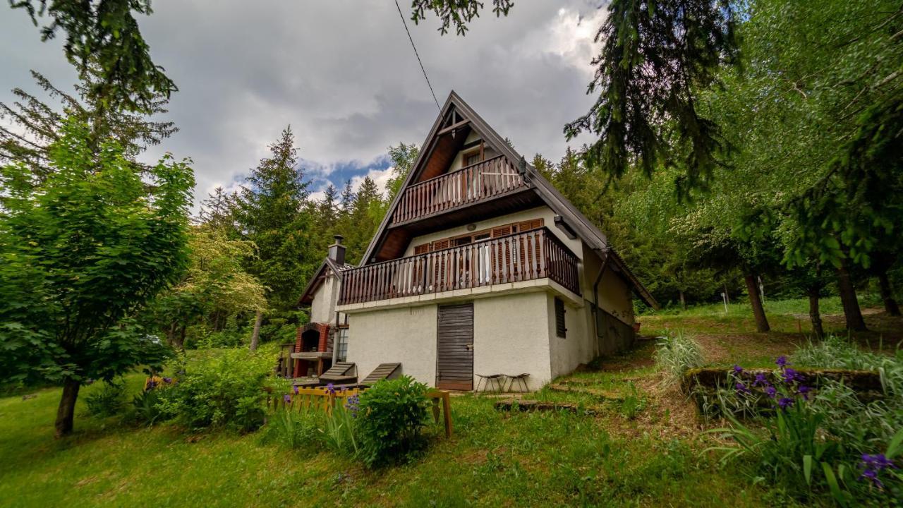 House Nature Casa vacanze *